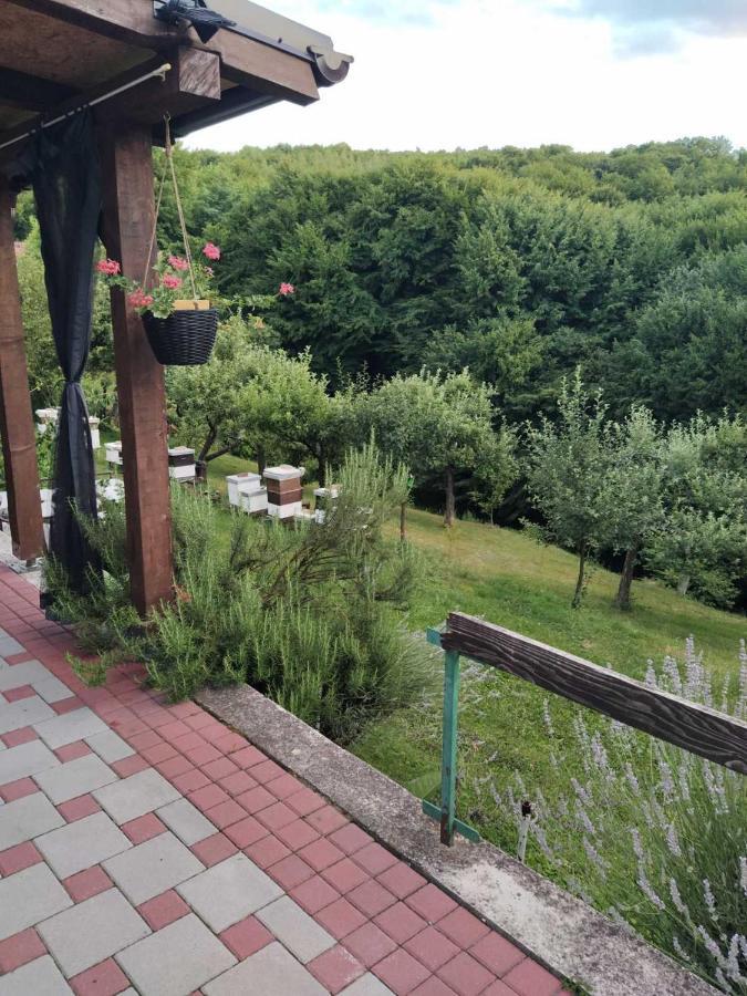 Guest House Bee Visoko Eksteriør bilde