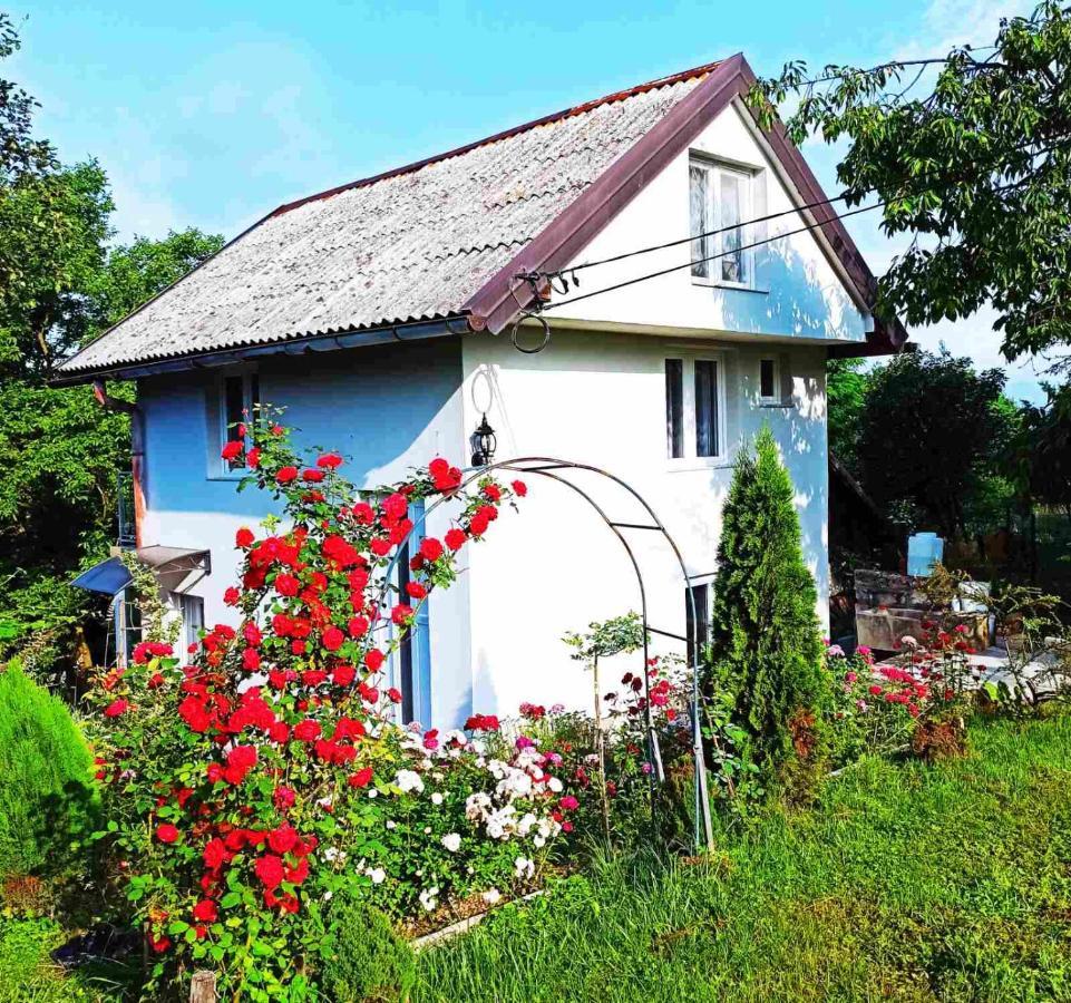 Guest House Bee Visoko Eksteriør bilde